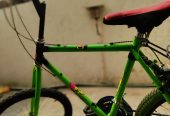 Wheeling cycle and modified 20 inch 2 gear urgent sale