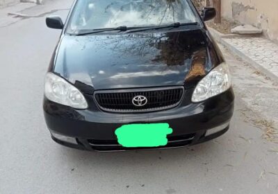 WhatsApp-Image-2025-05-31-at-8.58.58-PM-1