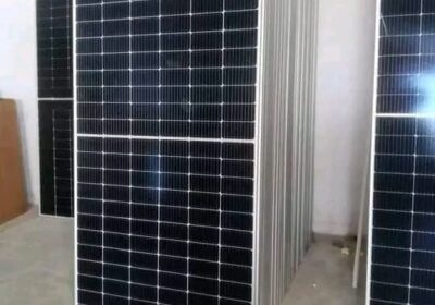 WhatsApp-Image-2025-06-25-at-12.17.20-PM