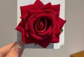 Vintage Red Rose Hair Clips