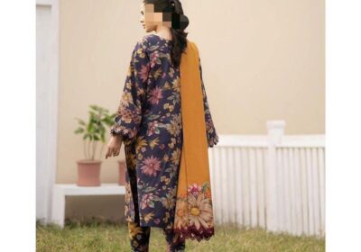 WhatsApp-Image-2025-07-15-at-12.50.23-PM