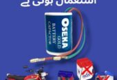 Motorcycle battery capister