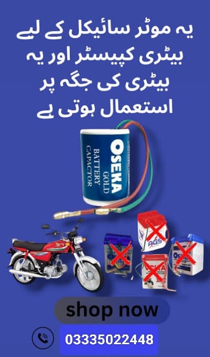 Motorcycle battery capister
