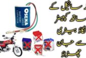 Motorcycle battery capister