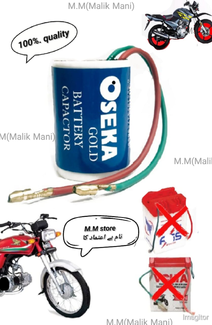 Motorcycle battery capister