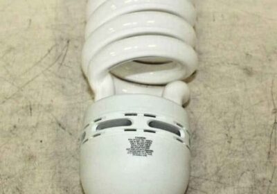 WhatsApp-Image-2025-07-24-at-11.40.38-AM