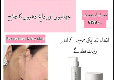 WhatsApp-Image-2025-07-28-at-11.40.36-AM