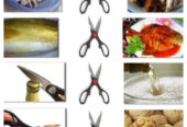 6 in 1 Multipurpose All In One Kitchen Multi functional Scissors Random Colours
