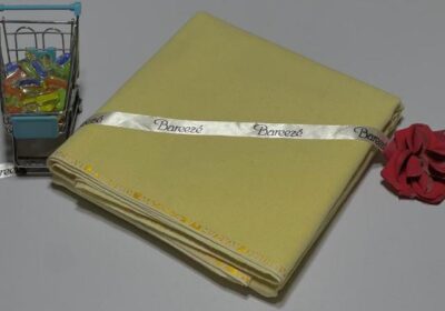 WhatsApp-Image-2025-08-01-at-10.04.02-AM