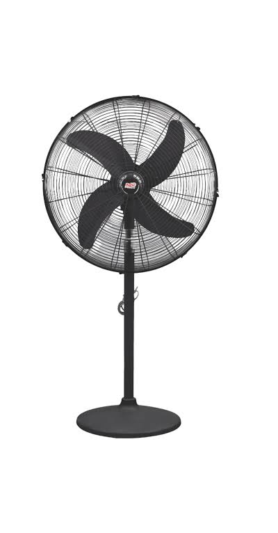 Standard Pedestal Fan