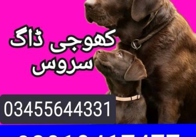 1000006991-1