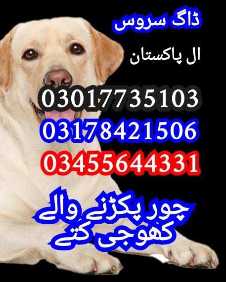 Army dog center 03017735103 (چور پکڑنے والے)