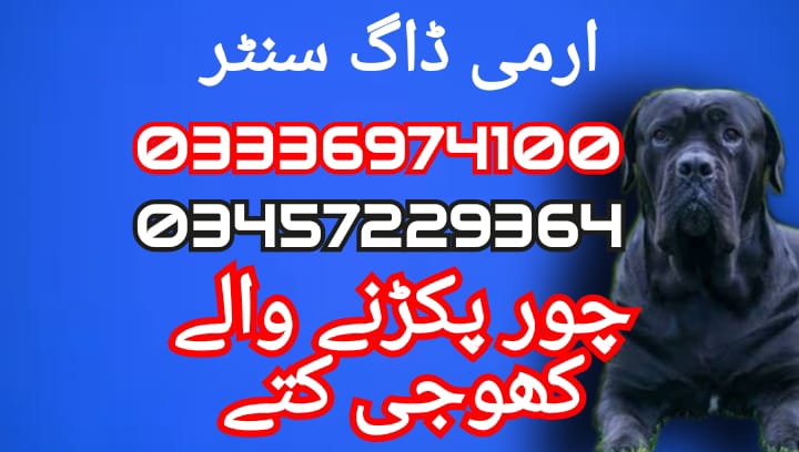 Army dog center 03336974100 (چور پکڑنے والے)