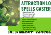 Lost Lover Return Spell – Reunite With Your Ex +256700968783