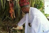 The Most Powerful SpirItual Herbalist Native Doctor IN Nigeria+2349159450040