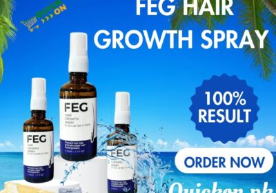 feg-1-6