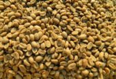 Green Coffee beans (Arabica Coffee) Grade: AA, A, and AB+27719755564