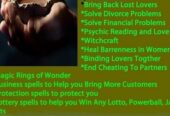 POWERFUL SPIRITUAL MEDIUM+27734009912