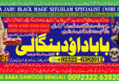 No1 Sindh black magic specialist baba ji love problem solution baba ji vashikaran specialist in pakistan +92322-6382012