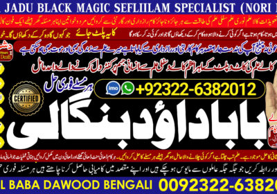 IMG_20251109_162552-2