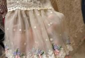 Soft organza heavy embroidered and handwork article