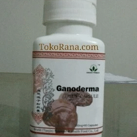 2025-11-16-6919d4b620d11-1