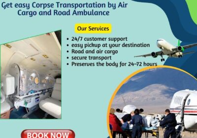 6224335295231412388-2