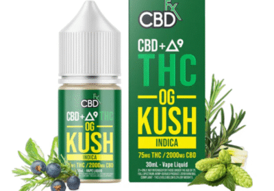 Untitled16-2
