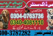 Army Dog Center jamshoro 0340-4081110