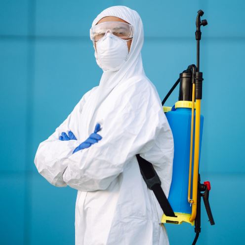 Insect Removal Near Me In Karachi