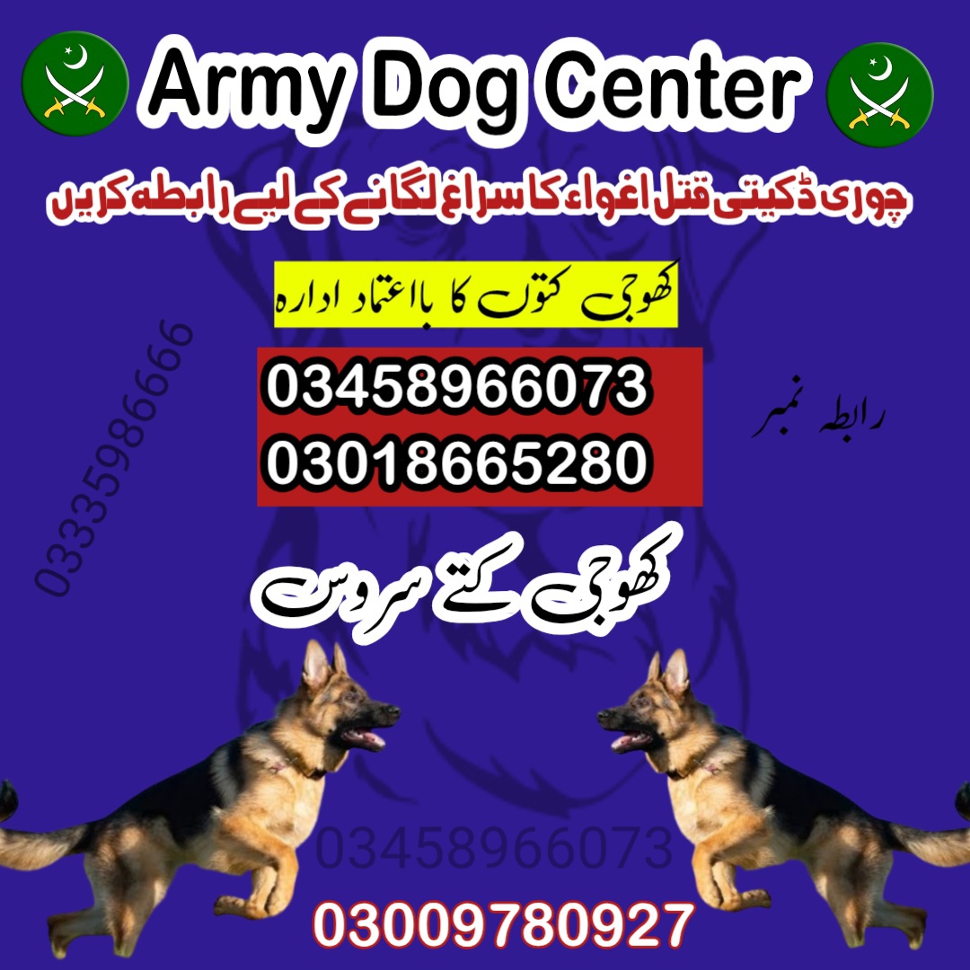 Army Dog Center Attock 03009195279