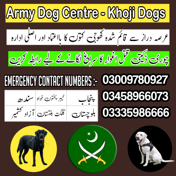 Army Dog Center Peshawar 03458966073