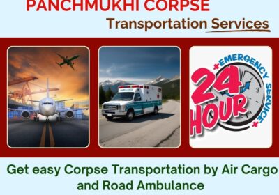 Freezer Box Transfer Panchmukhi-helps-families-with-air-cargo-body-transportation-in-Patna-15