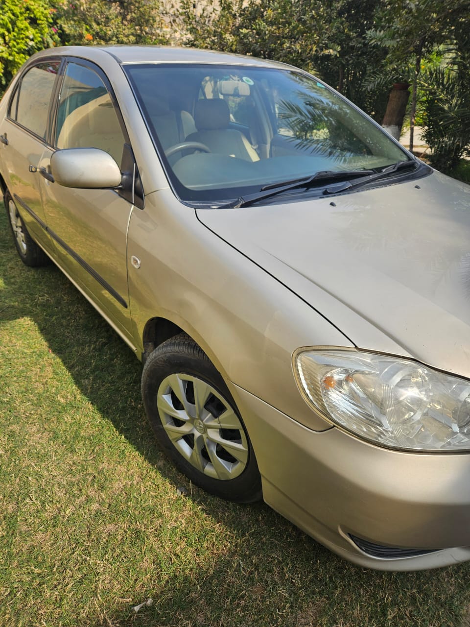 Toyota GLI Corolla
