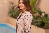 Dhanak 3Pc Fully Embroidered