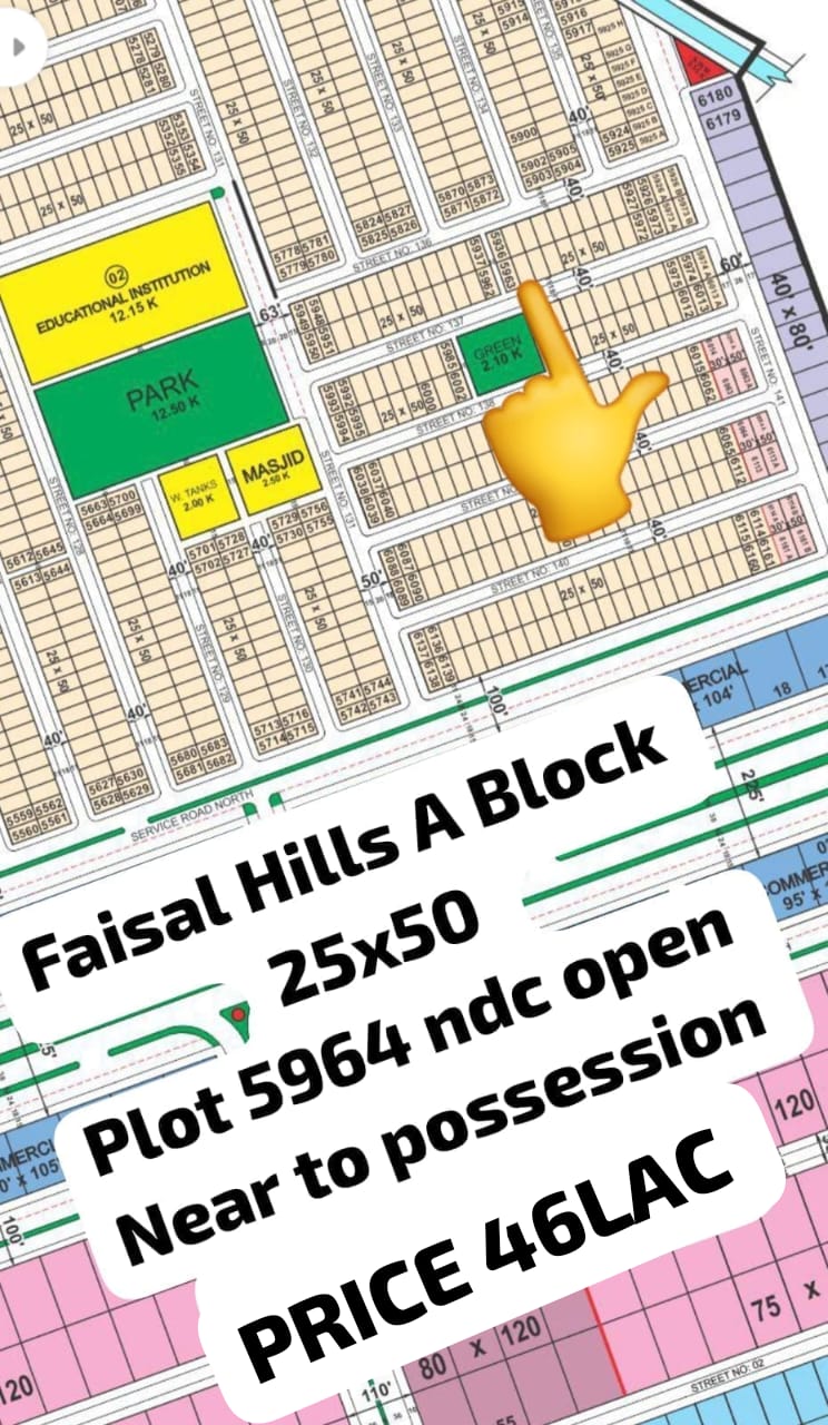 Faisal Hills Plot