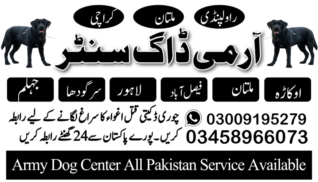 Army Dog Center Peshawar 03458966073