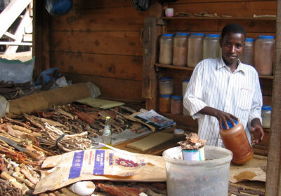 BRING BACK LOST LOVER traditional-healers-in-africa-2