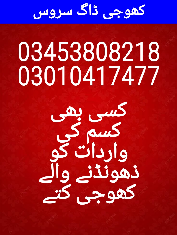 Army dog center 03010417477