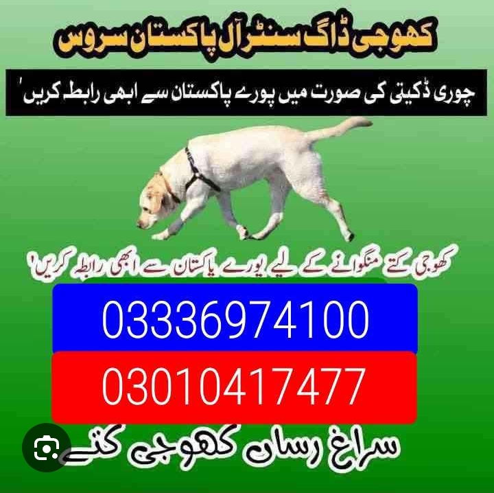 Army dog center 03017735103