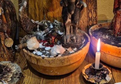 4210c438d0df0f2c7d485dcea42e7227