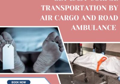 Dead Body Freezer Box Transportation 6174781083556627757