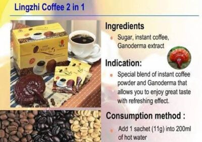 WhatsApp-Image-2026-02-23-at-3.15.06-PM