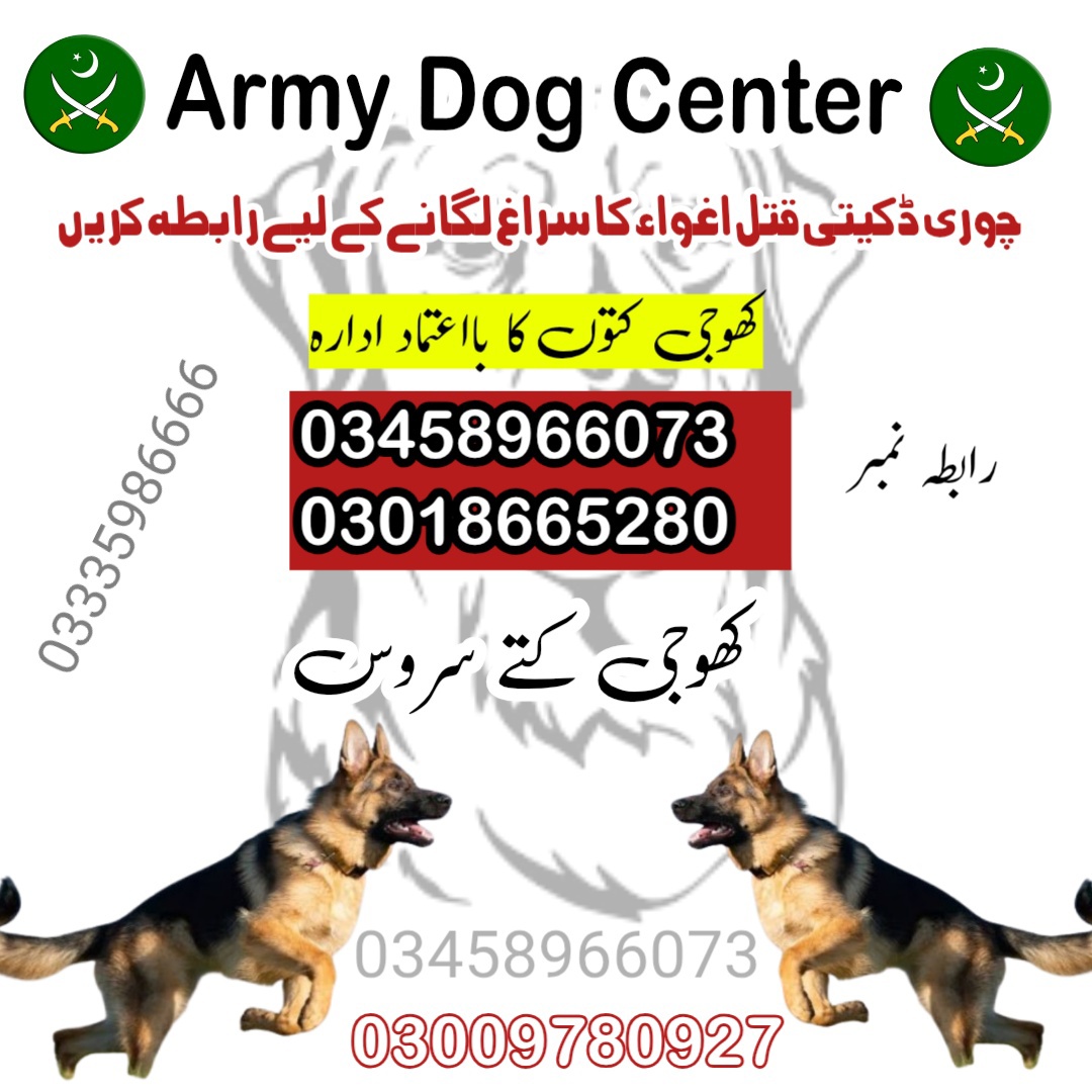 Army Dog Center Abbottabad 03009195279 (khoji dogs abbottabad)