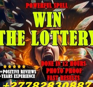 il_300x300.5901189057_hk6k