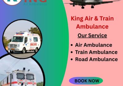 Take King Train Ambulance KING-AIR-AND-TRAIN-AMBULANCE-SERVICE