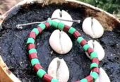 The Best Powerful SpirItual Herbalist Native Doctor IN Nigeria+2348117855171
