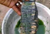 The Best Powerful SpirItual Herbalist Native Doctor IN Nigeria+2348117855171
