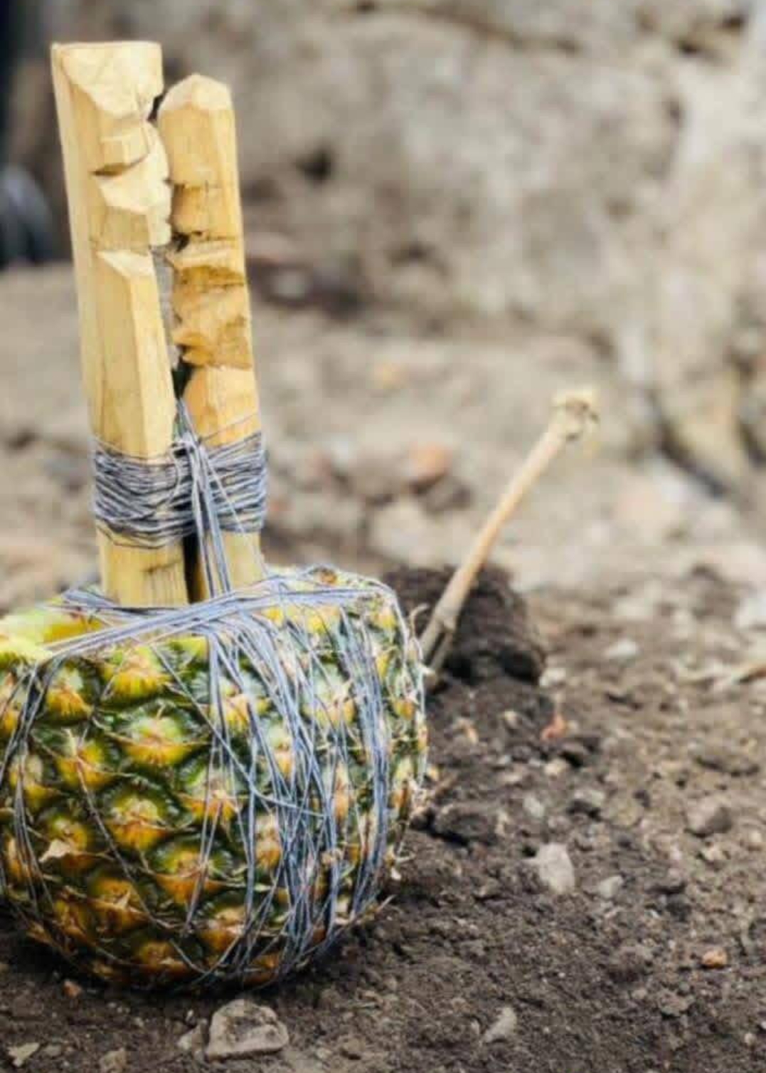 The Best Powerful SpirItual Herbalist Native Doctor IN Nigeria+2348117855171