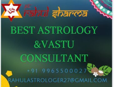 Canadian Astrologer The-Best-astrologer-in-india-4